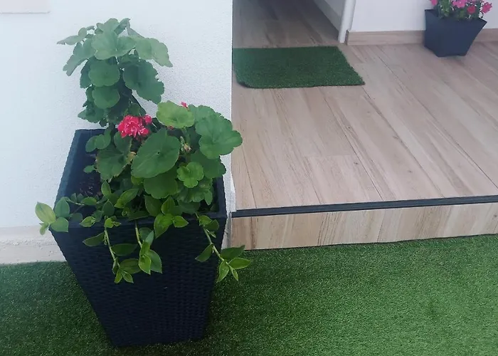 Apartamento Suances * Suances